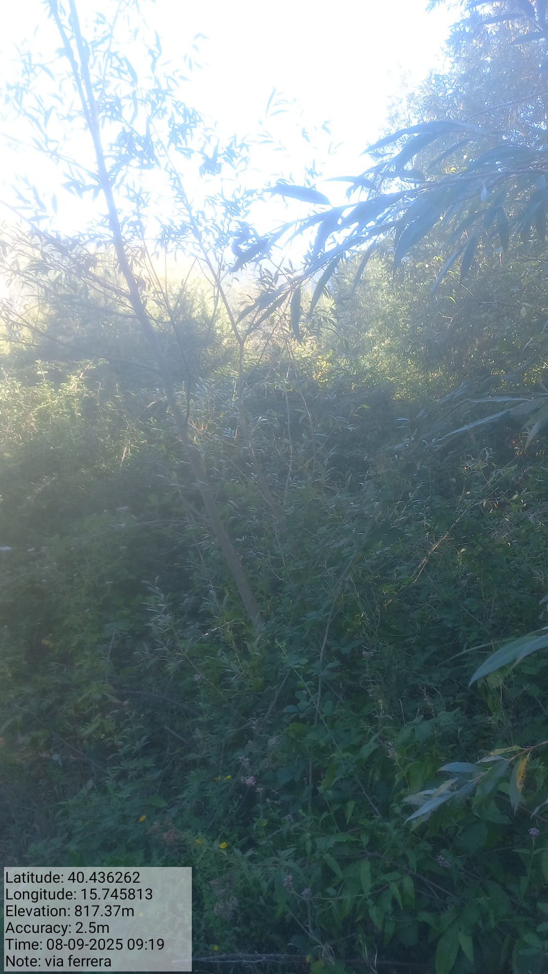 Galleria Fotografica Immagine