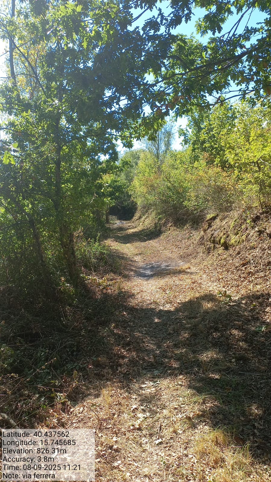 Galleria Fotografica Immagine