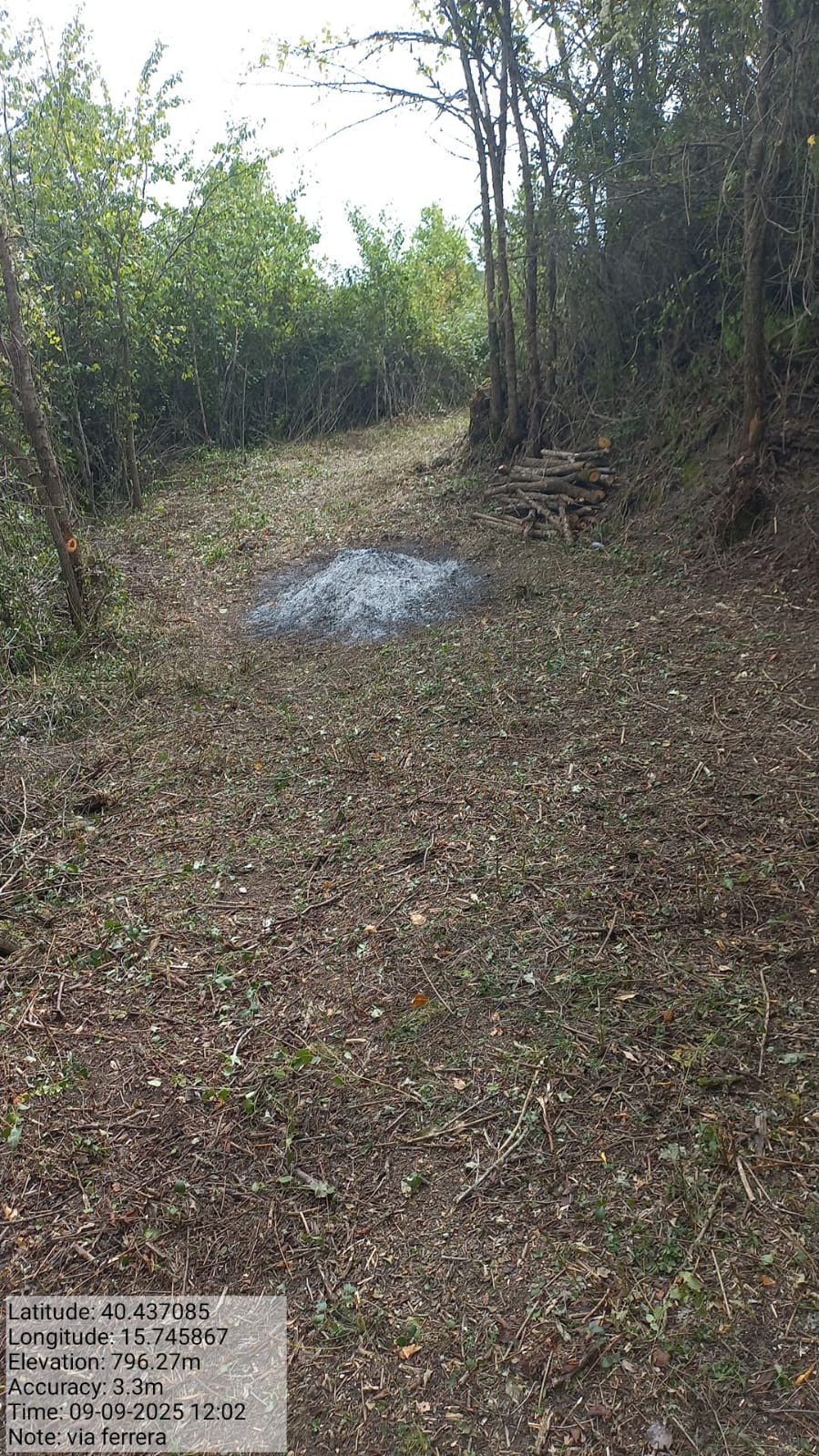 Galleria Fotografica Immagine