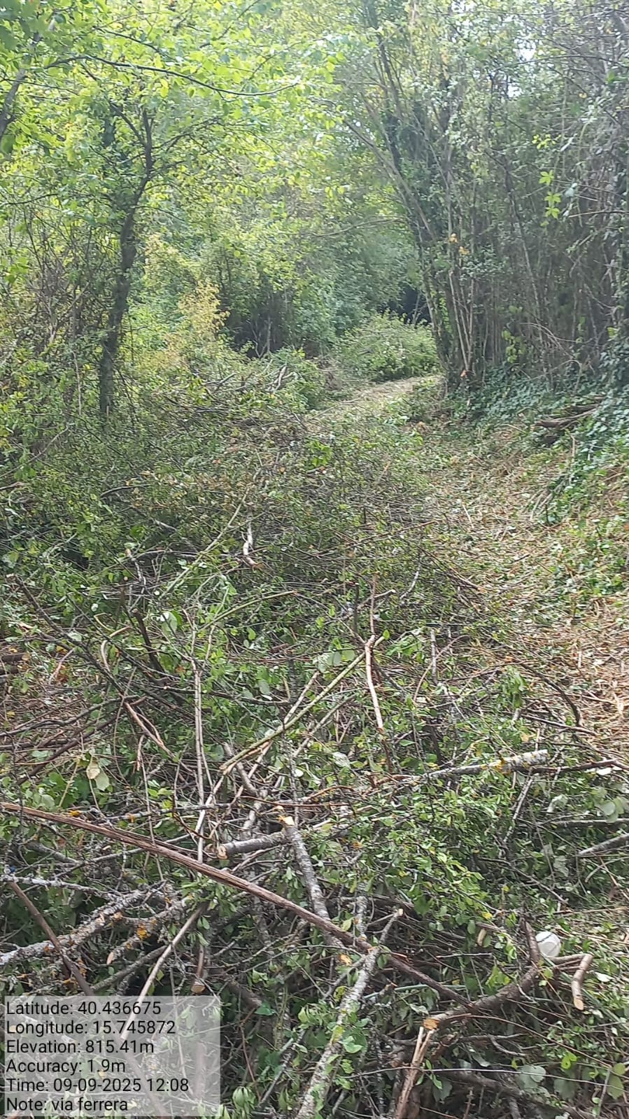 Galleria Fotografica Immagine