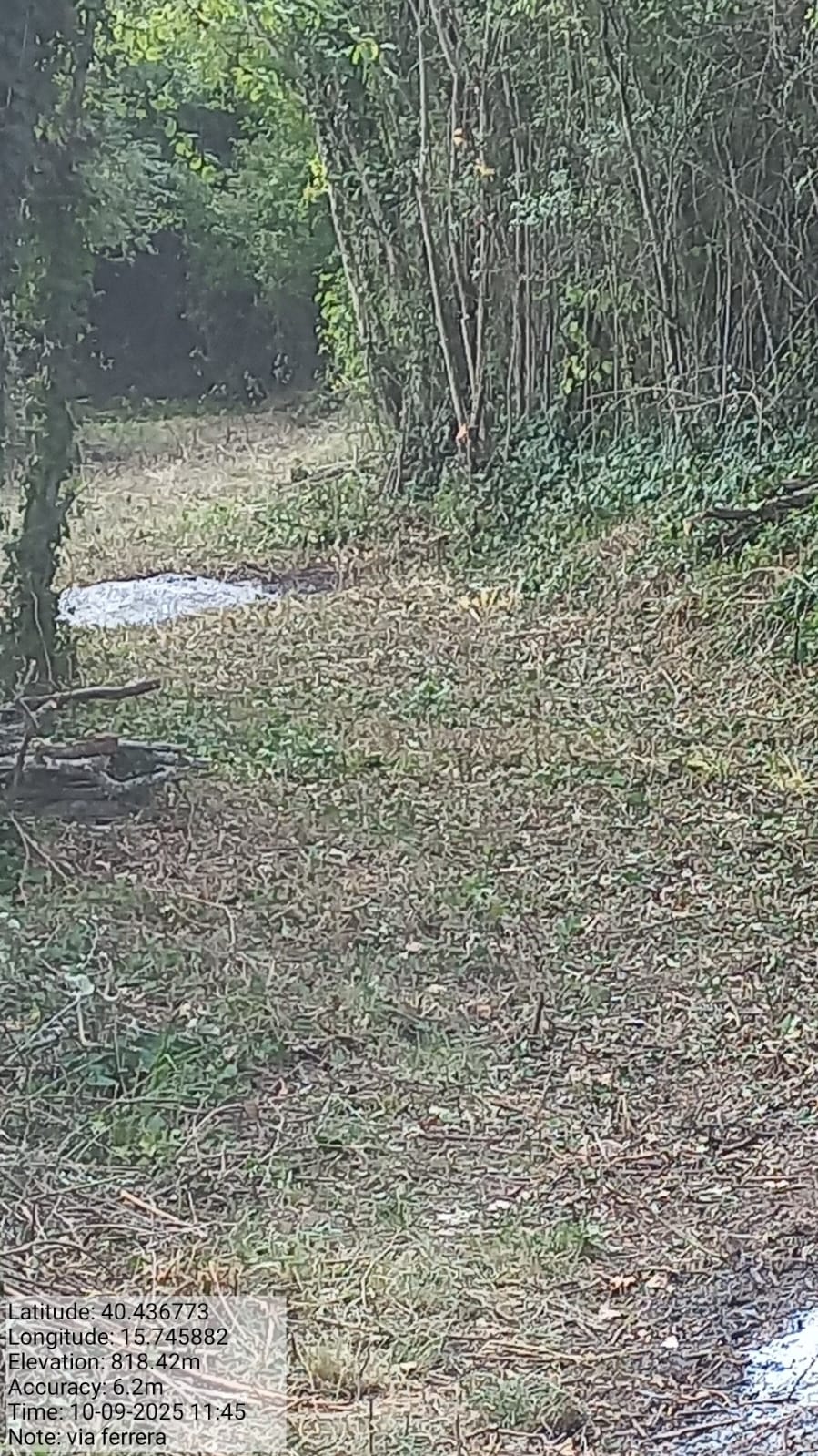 Galleria Fotografica Immagine