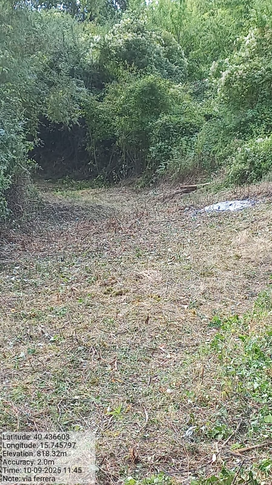 Galleria Fotografica Immagine