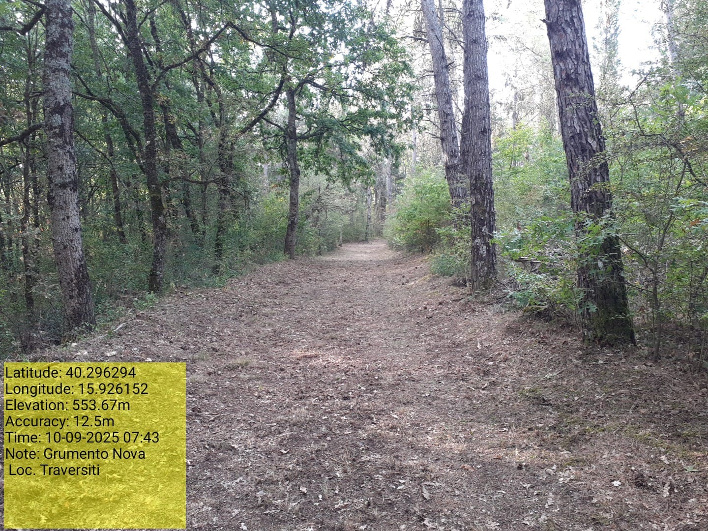 Galleria Fotografica Immagine