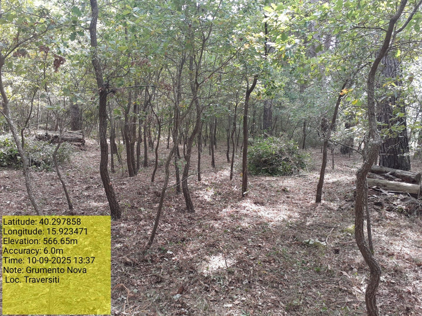 Galleria Fotografica Immagine