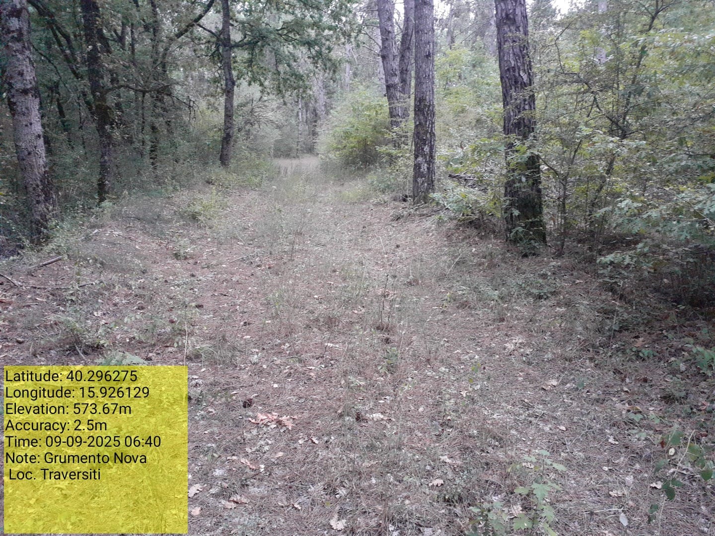 Galleria Fotografica Immagine