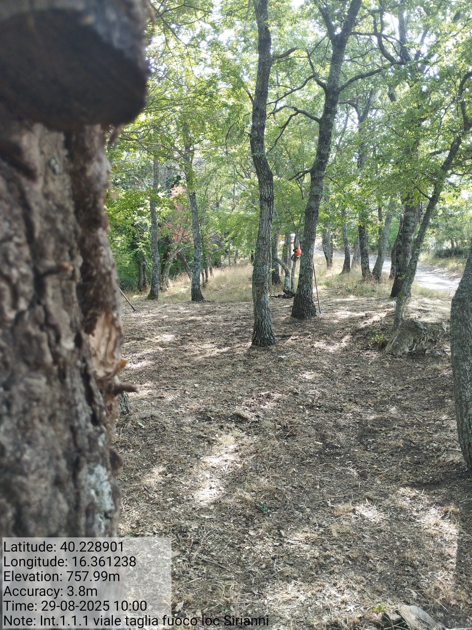 Galleria Fotografica Immagine