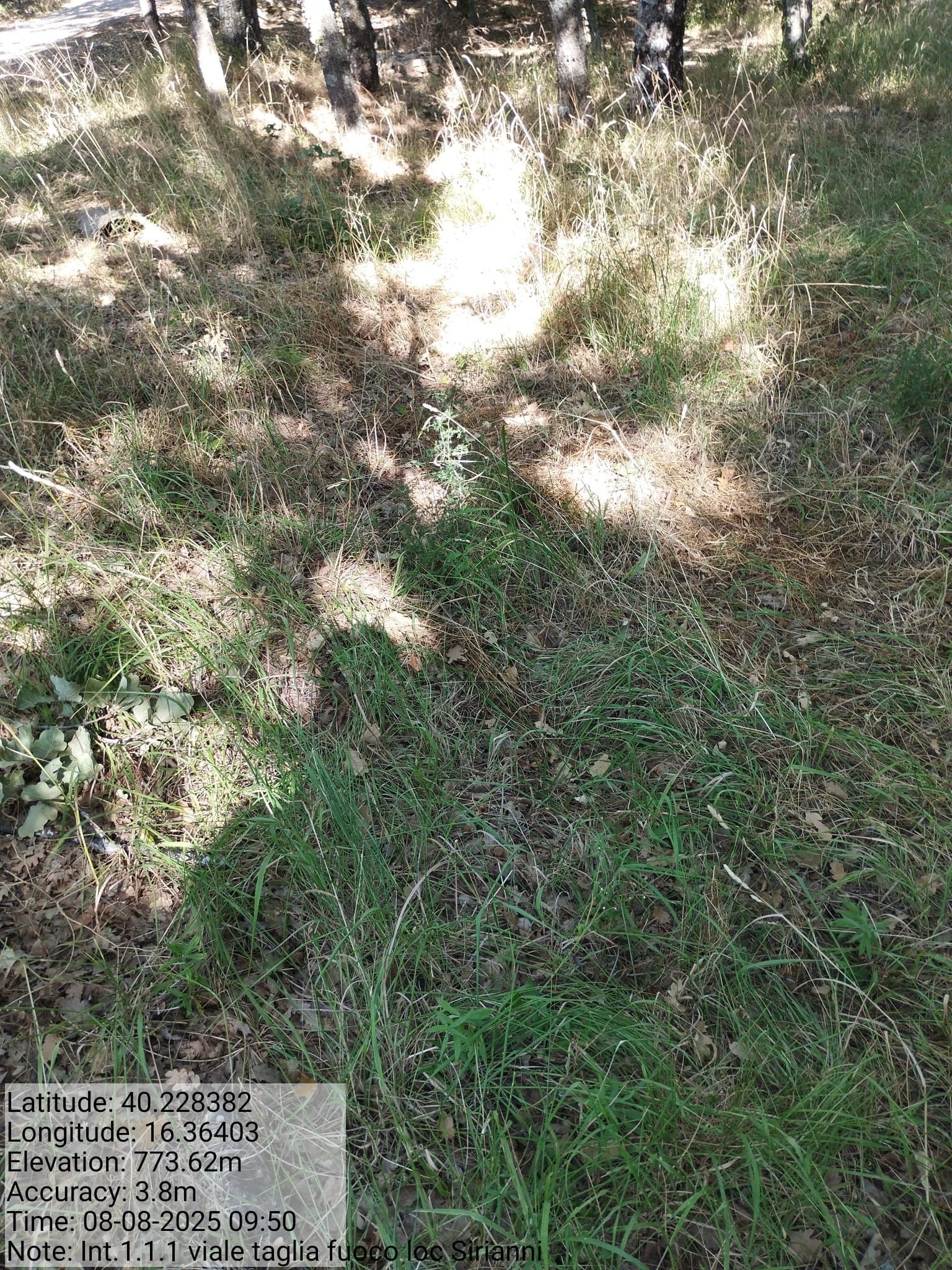 Galleria Fotografica Immagine