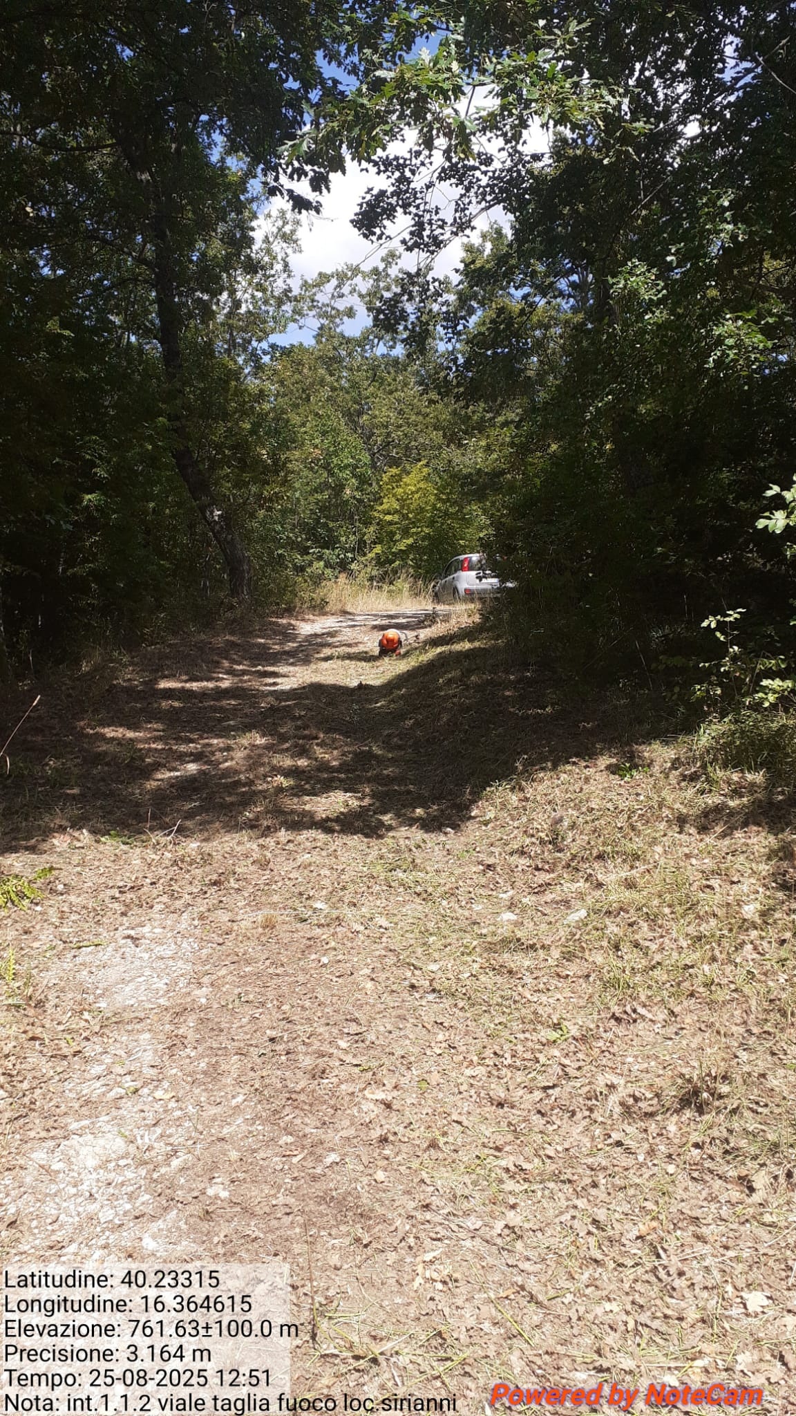 Galleria Fotografica Immagine