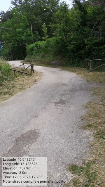 Galleria Fotografica Immagine