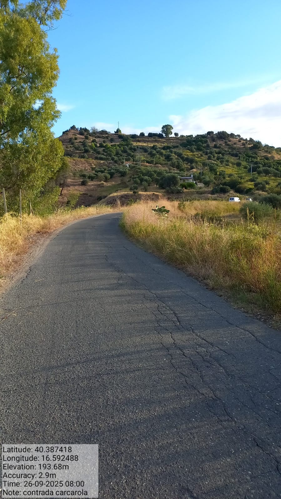 Galleria Fotografica Immagine