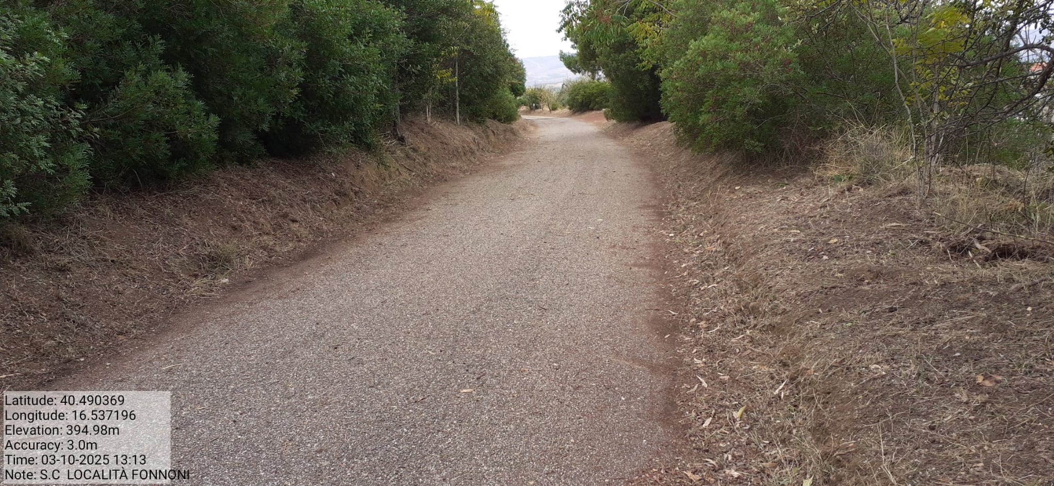 Galleria Fotografica Immagine