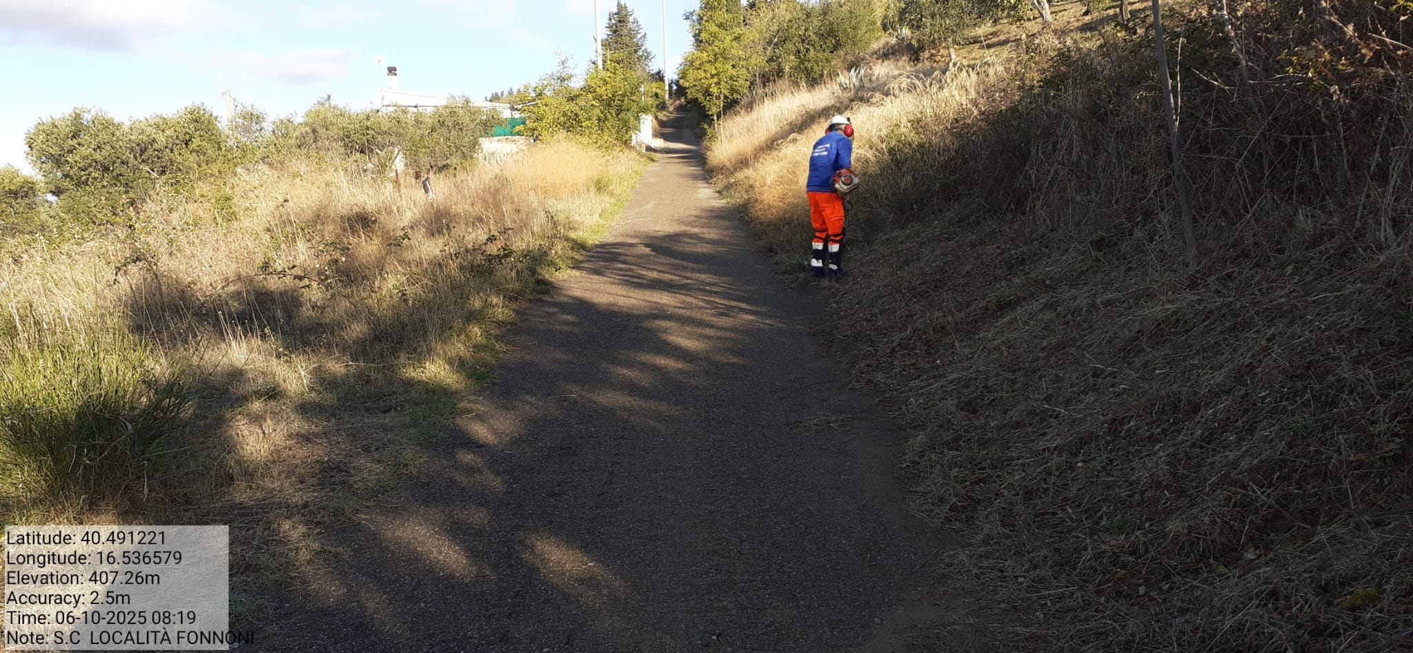 Galleria Fotografica Immagine