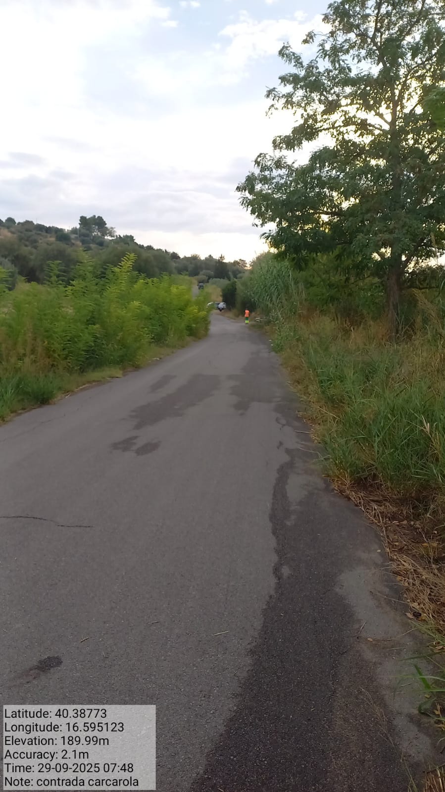 Galleria Fotografica Immagine