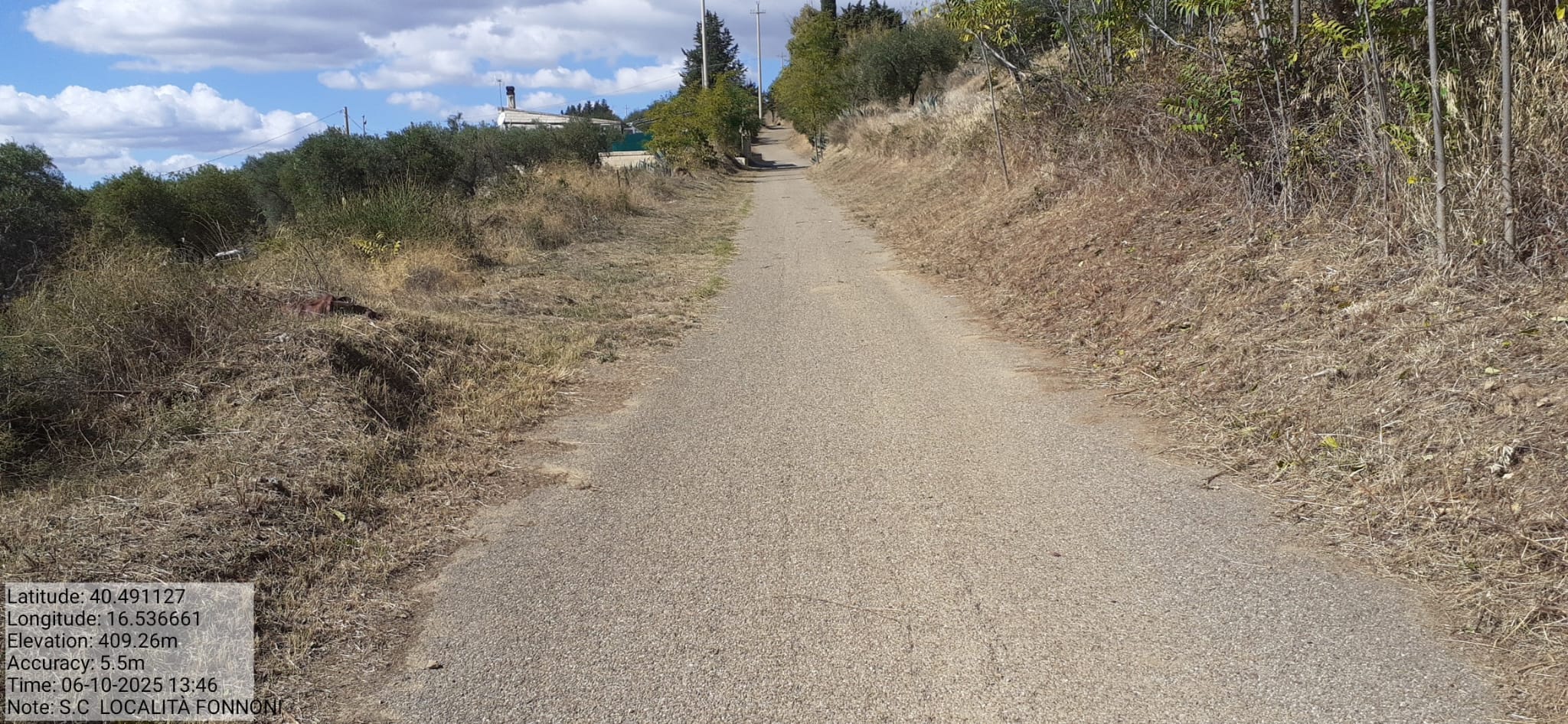 Galleria Fotografica Immagine