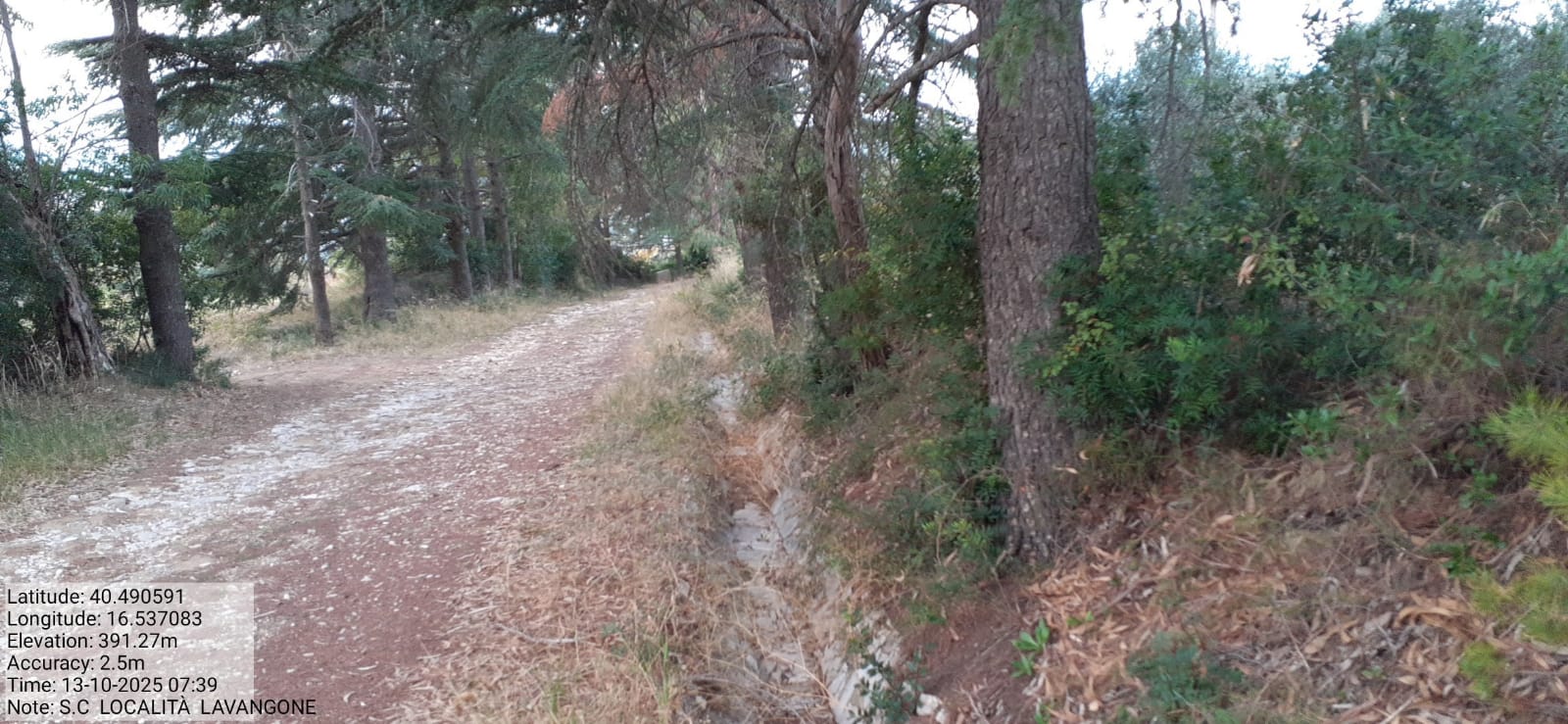 Galleria Fotografica Immagine