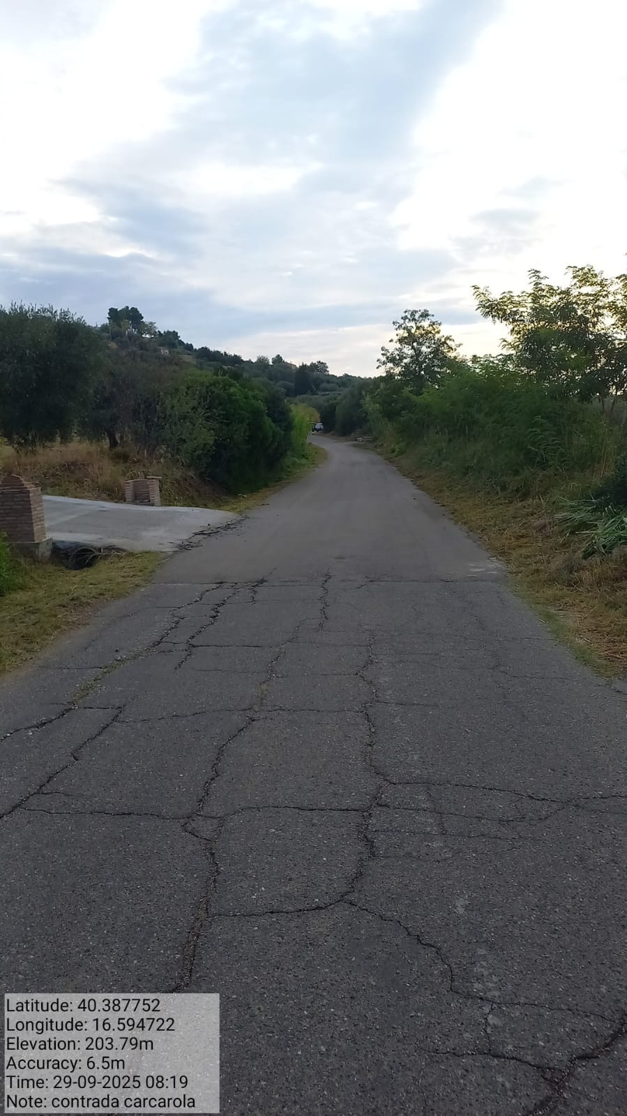 Galleria Fotografica Immagine