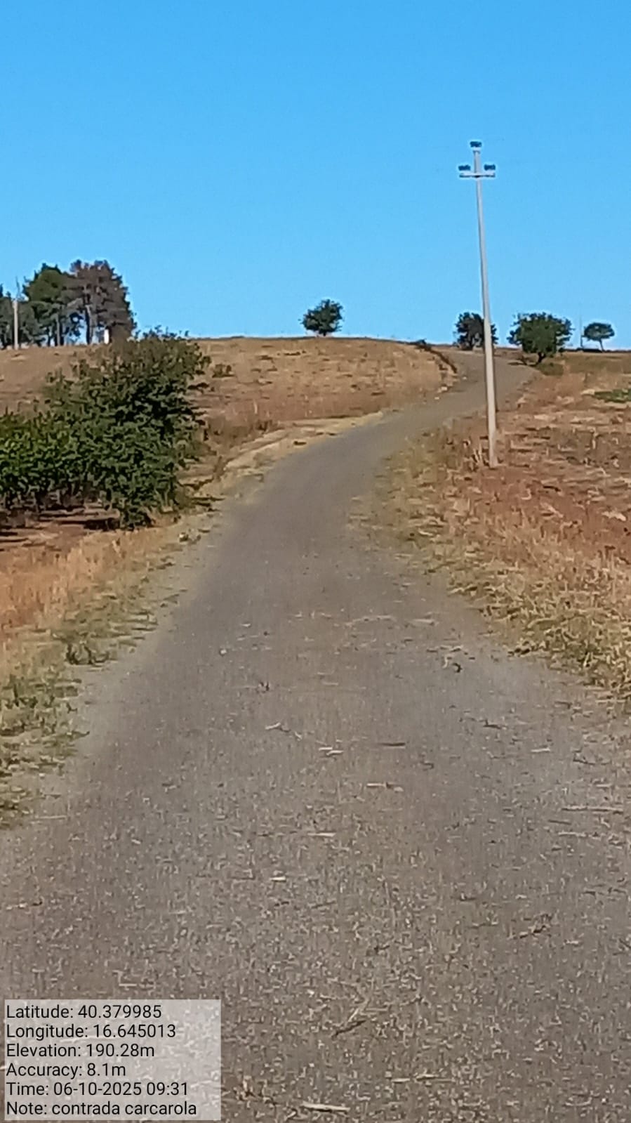 Galleria Fotografica Immagine