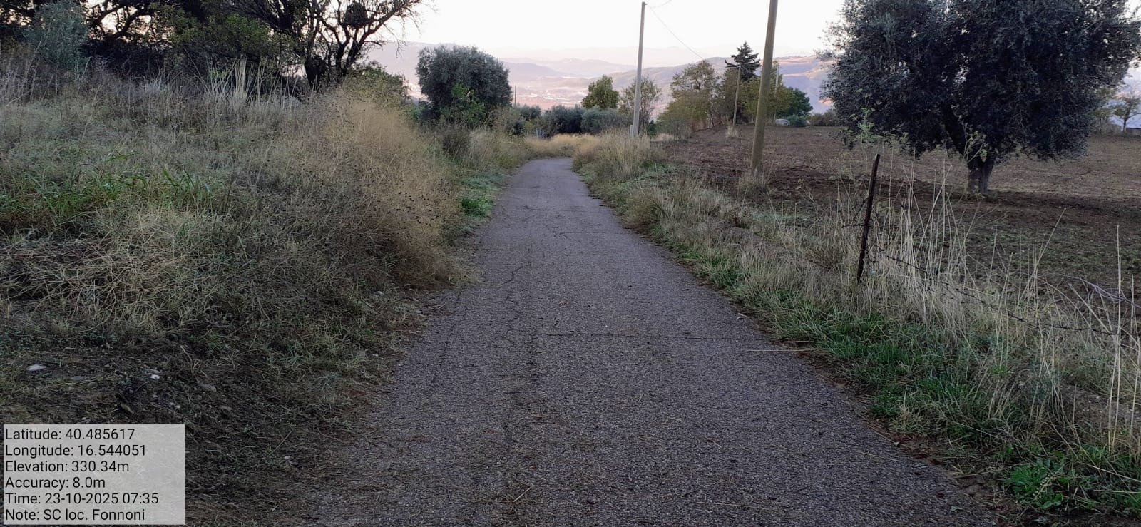 Galleria Fotografica Immagine