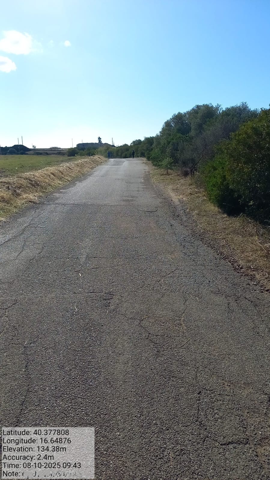 Galleria Fotografica Immagine