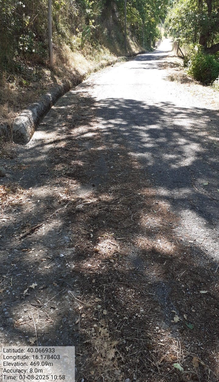 Galleria Fotografica Immagine