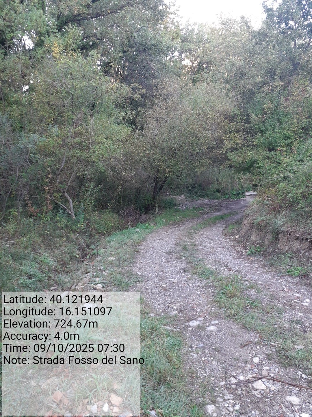 Galleria Fotografica Immagine