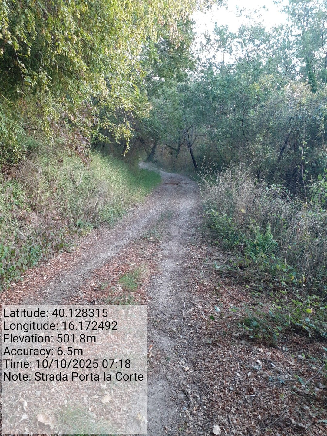 Galleria Fotografica Immagine