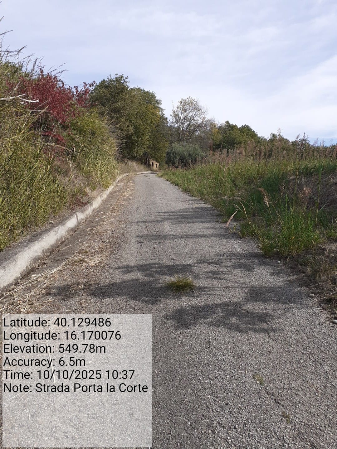 Galleria Fotografica Immagine