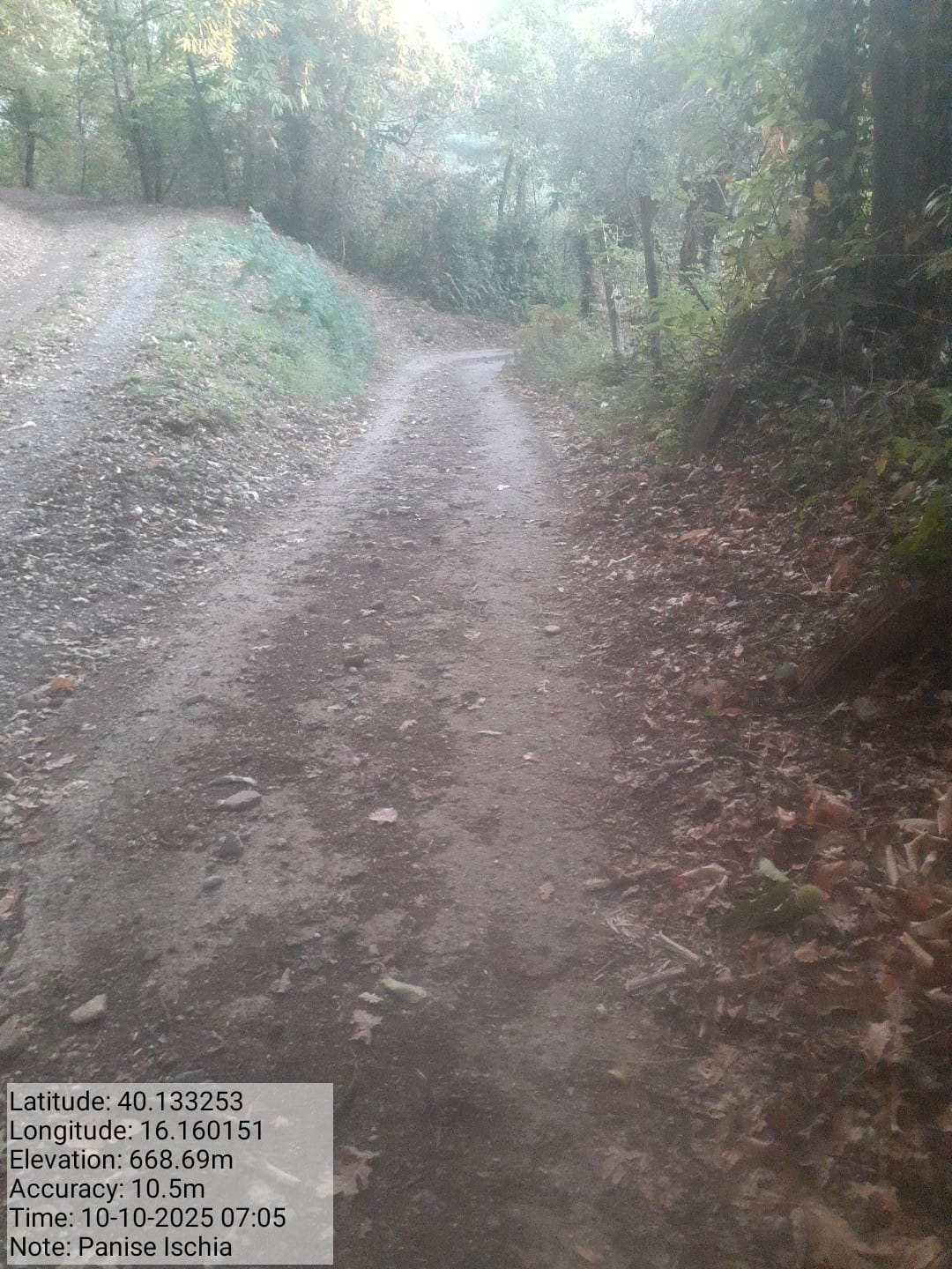 Galleria Fotografica Immagine