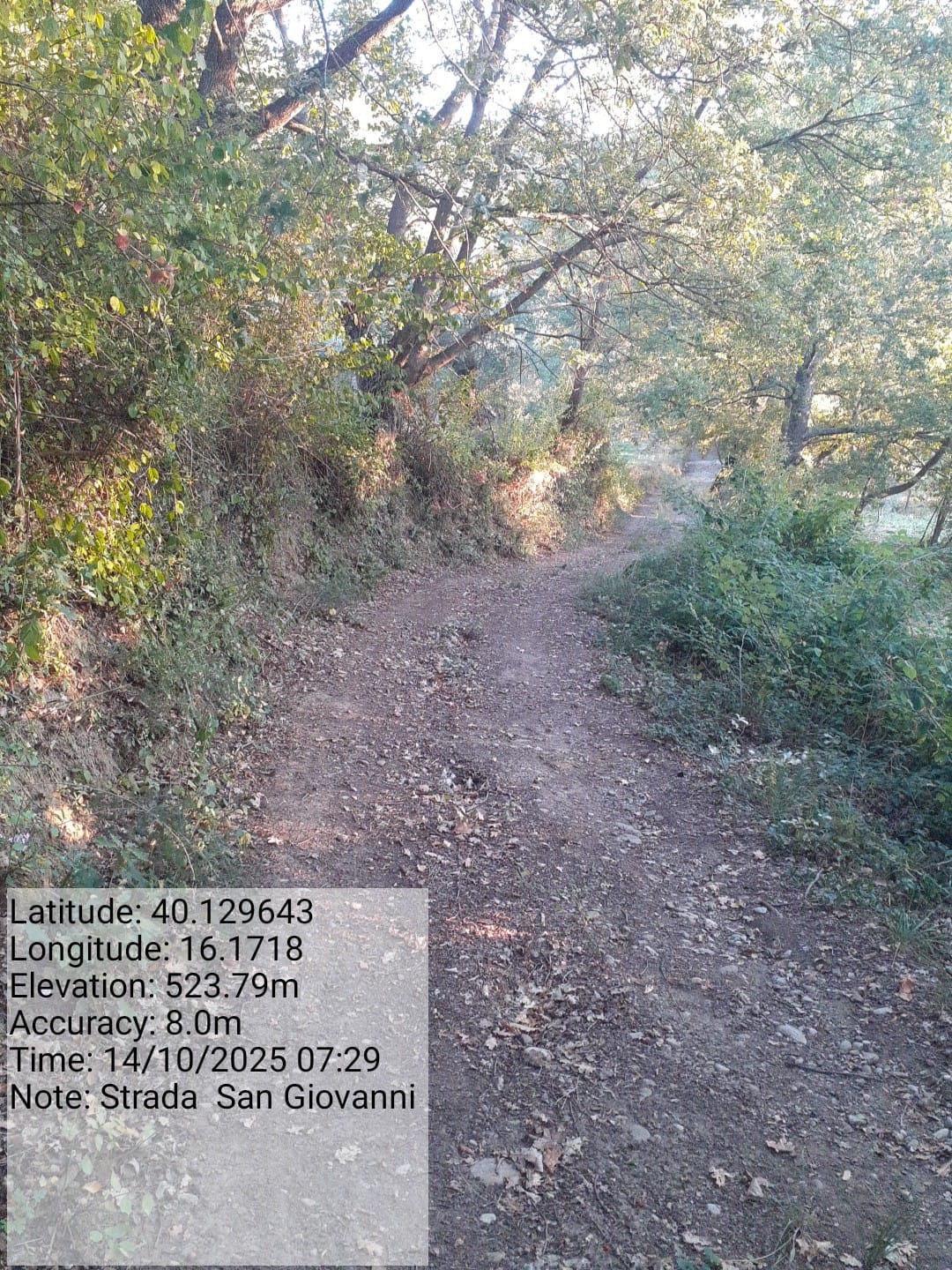 Galleria Fotografica Immagine