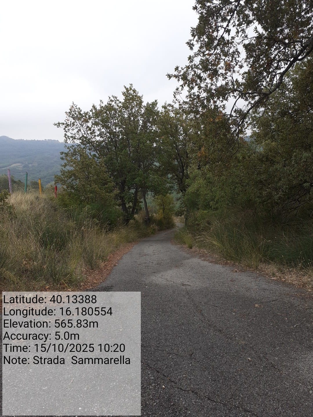 Galleria Fotografica Immagine