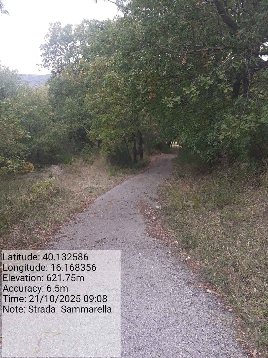 Galleria Fotografica Immagine