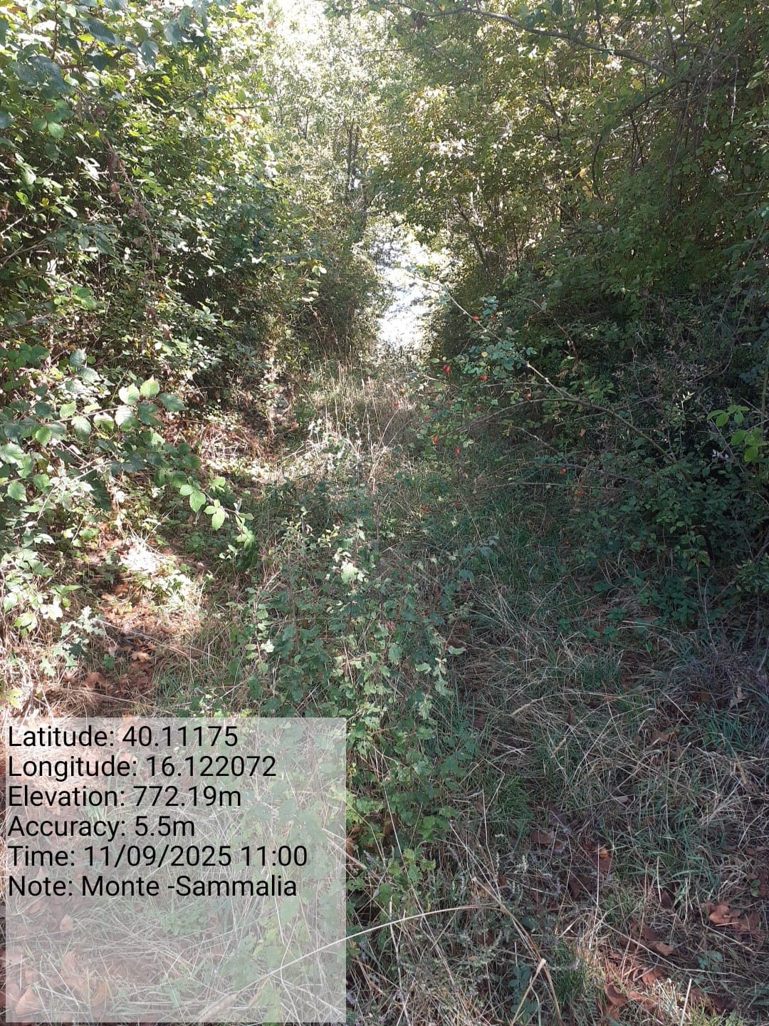 Galleria Fotografica Immagine