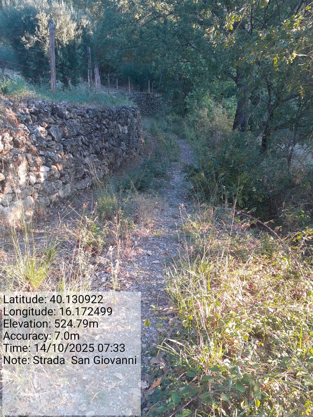 Galleria Fotografica Immagine