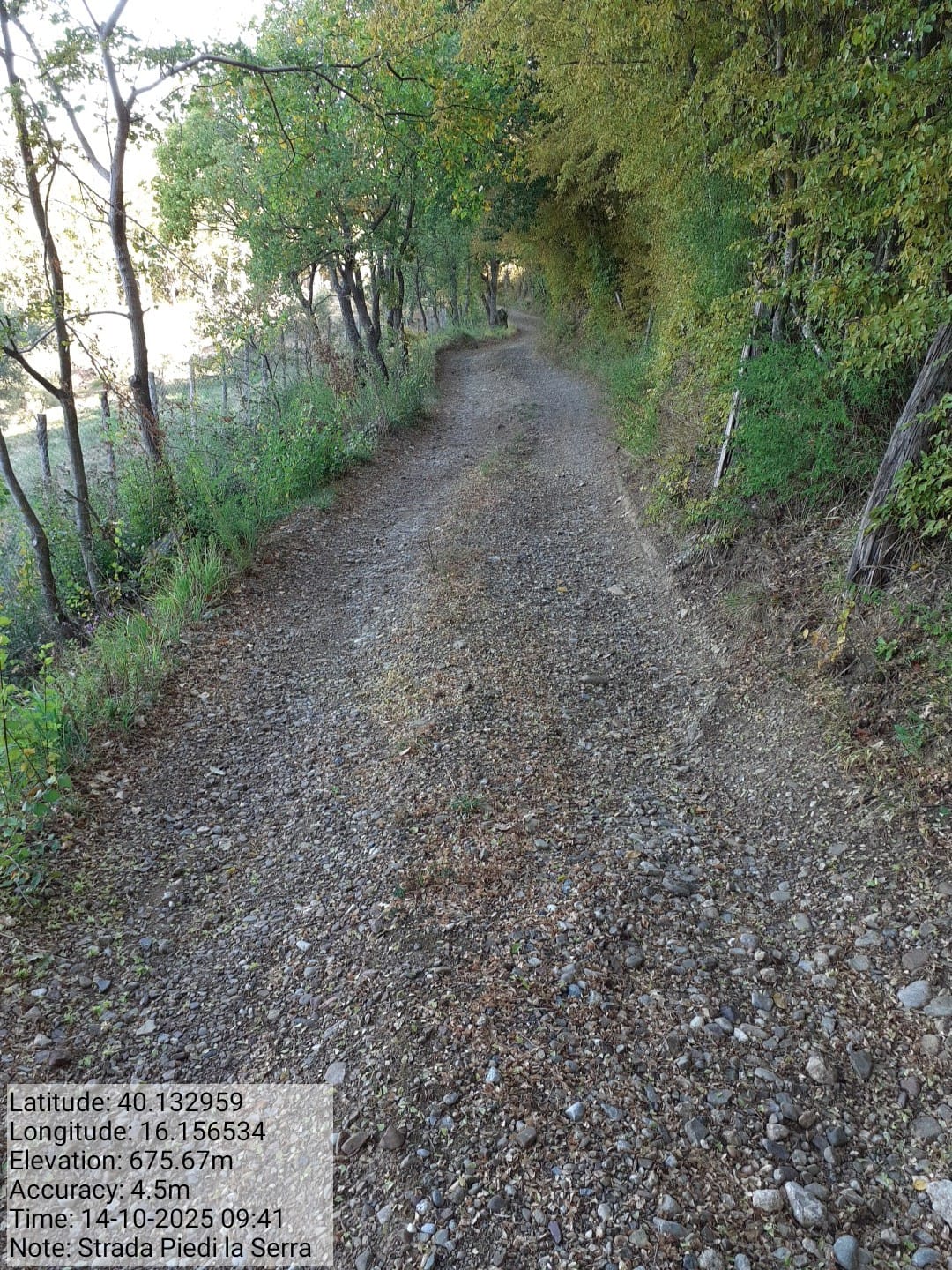 Galleria Fotografica Immagine