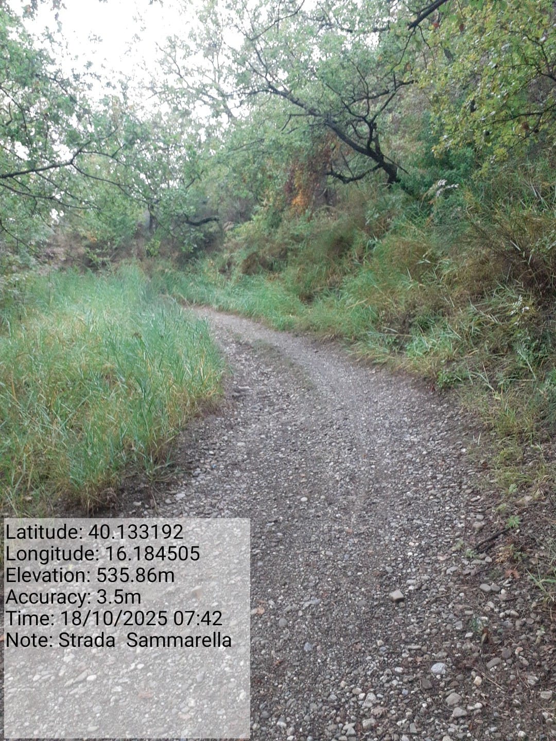 Galleria Fotografica Immagine