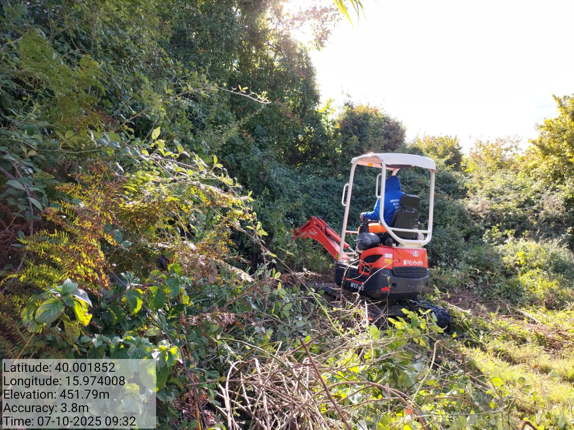 Galleria Fotografica Immagine