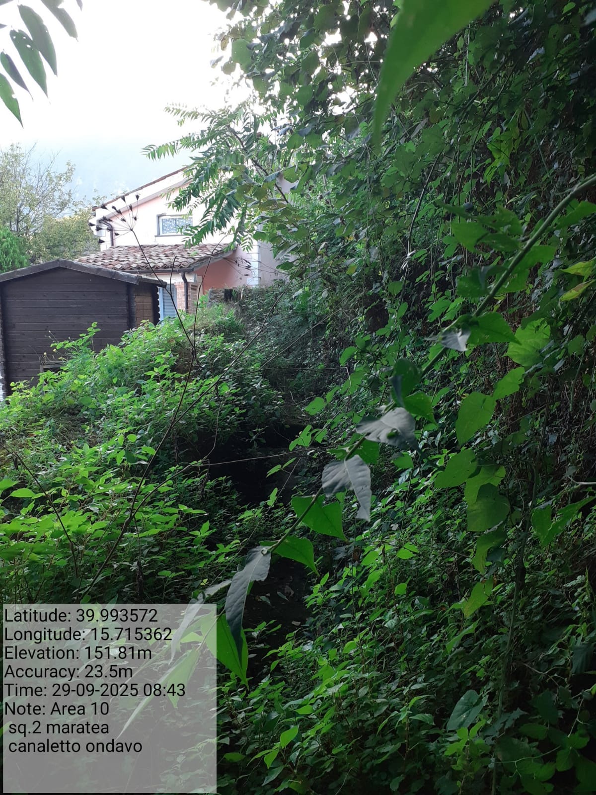 Galleria Fotografica Immagine