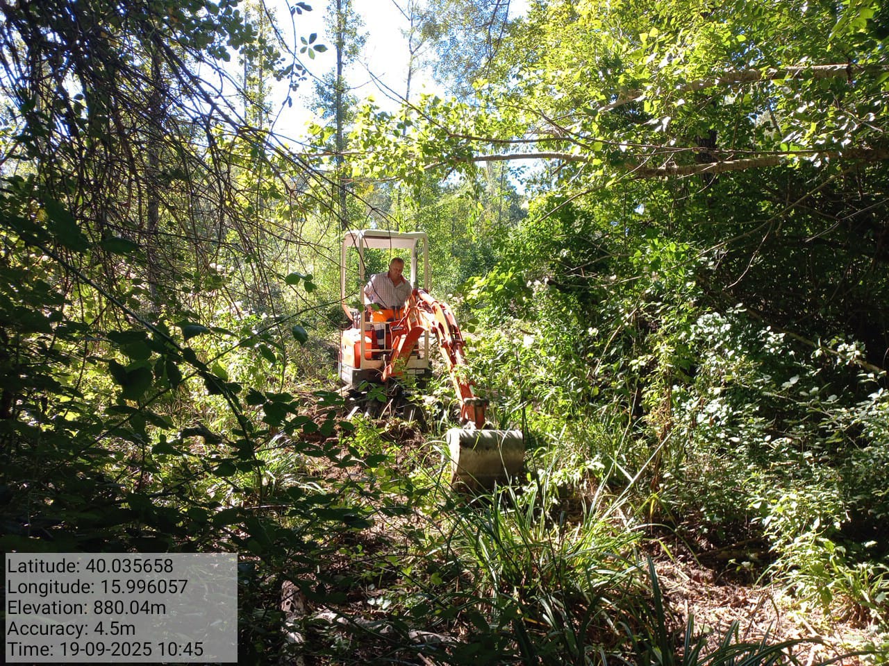 Galleria Fotografica Immagine