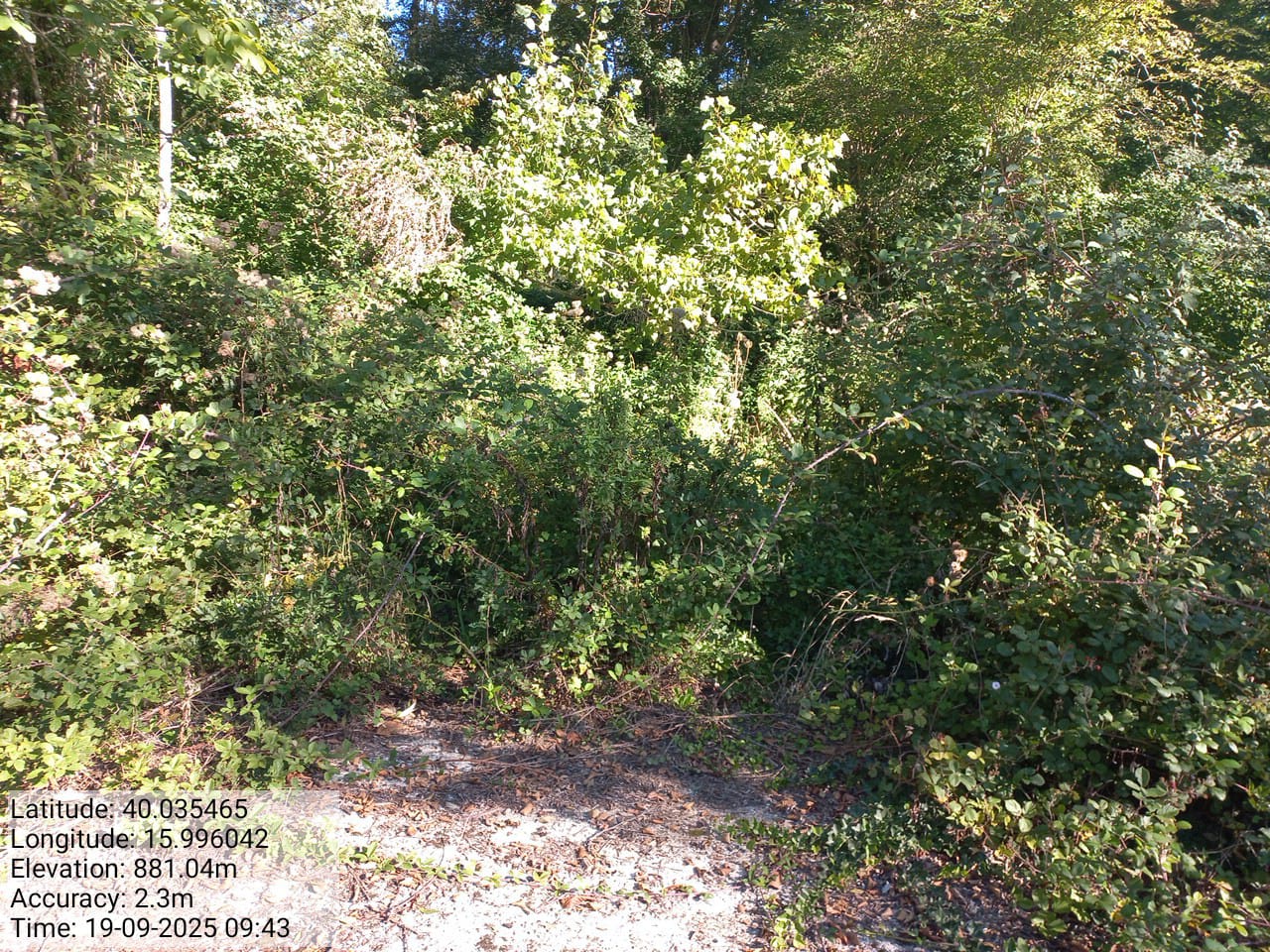 Galleria Fotografica Immagine