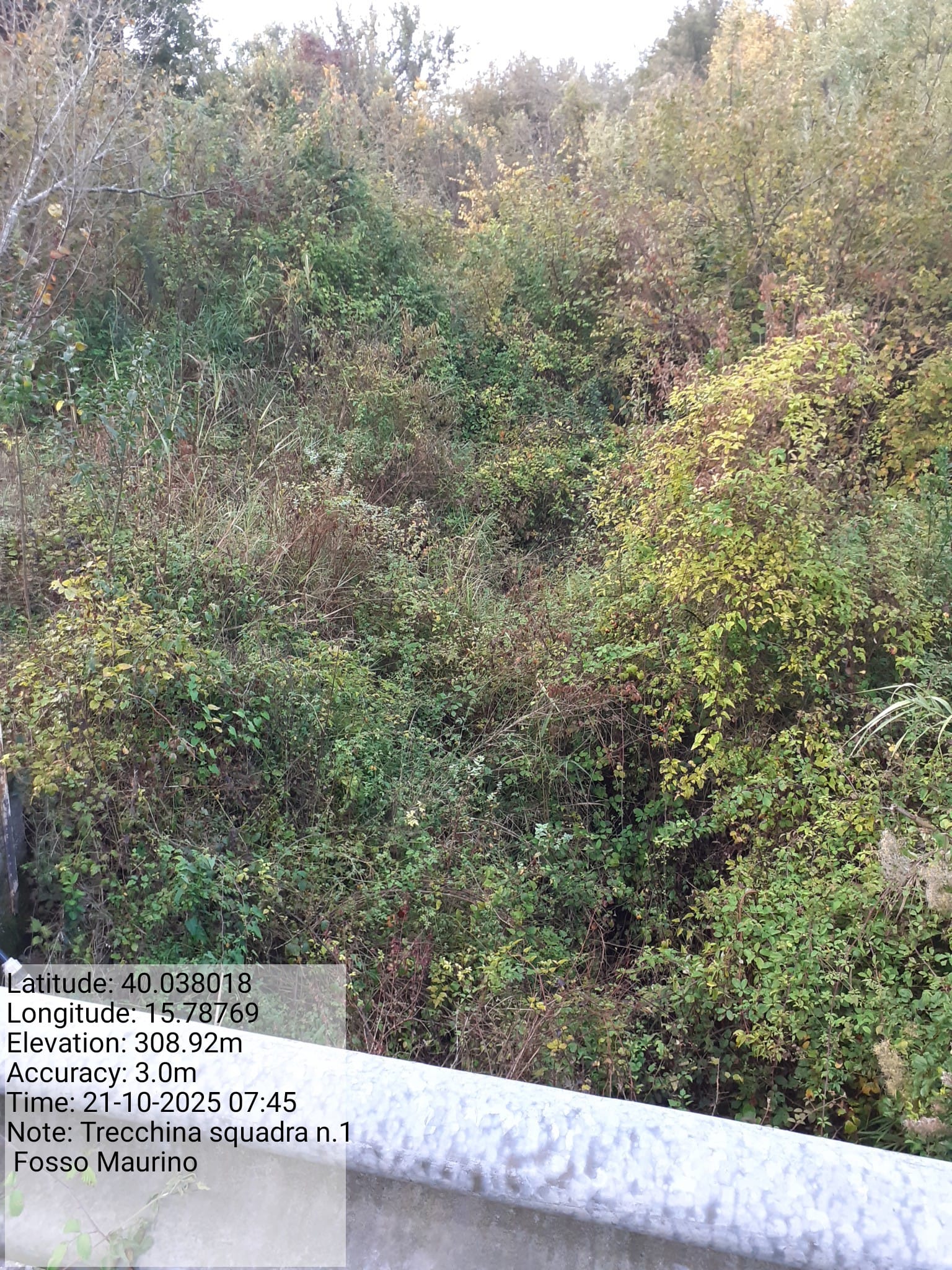 Galleria Fotografica Immagine