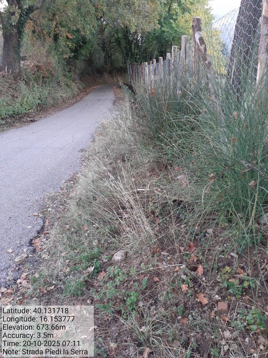 Galleria Fotografica Immagine