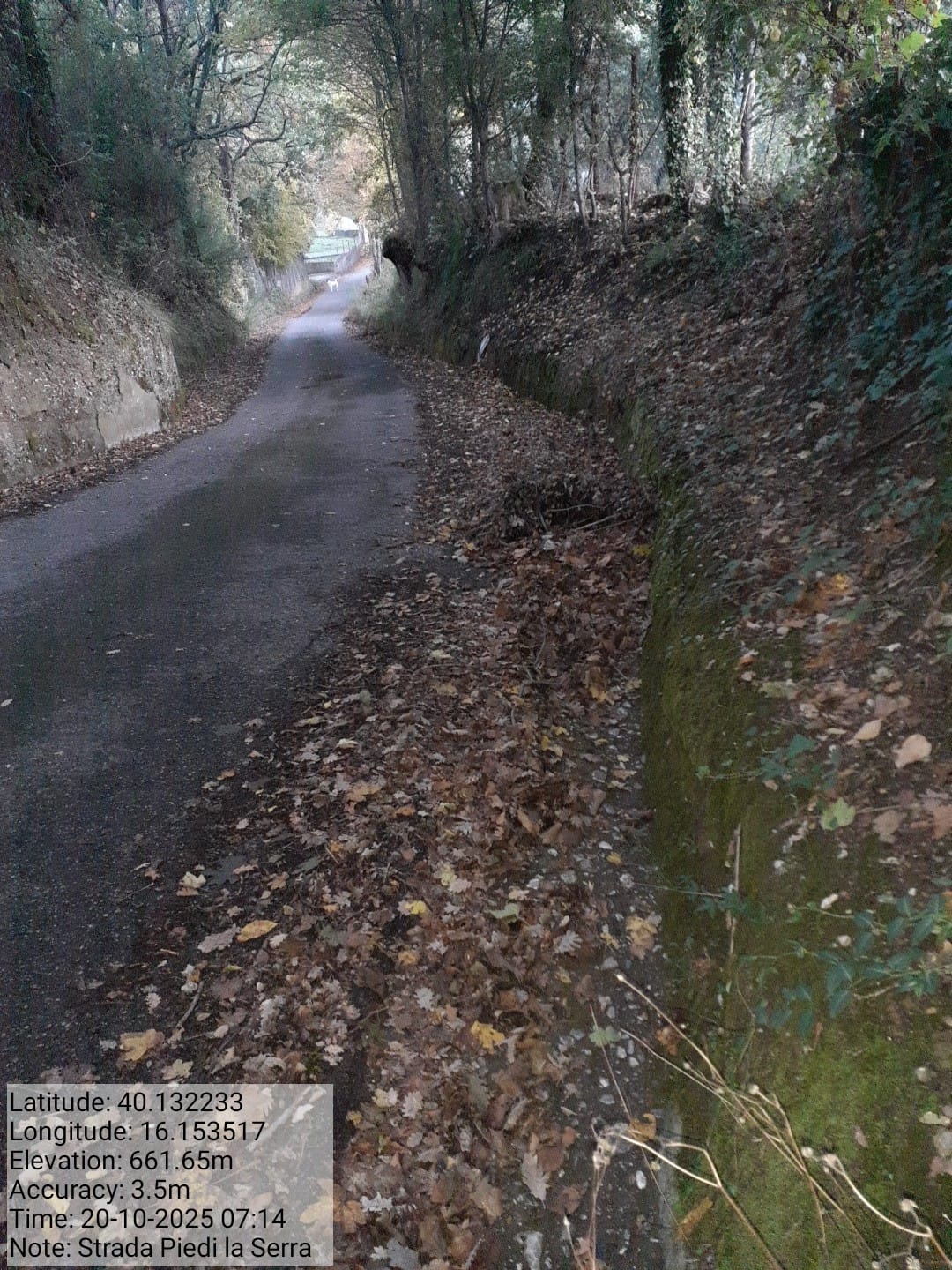 Galleria Fotografica Immagine