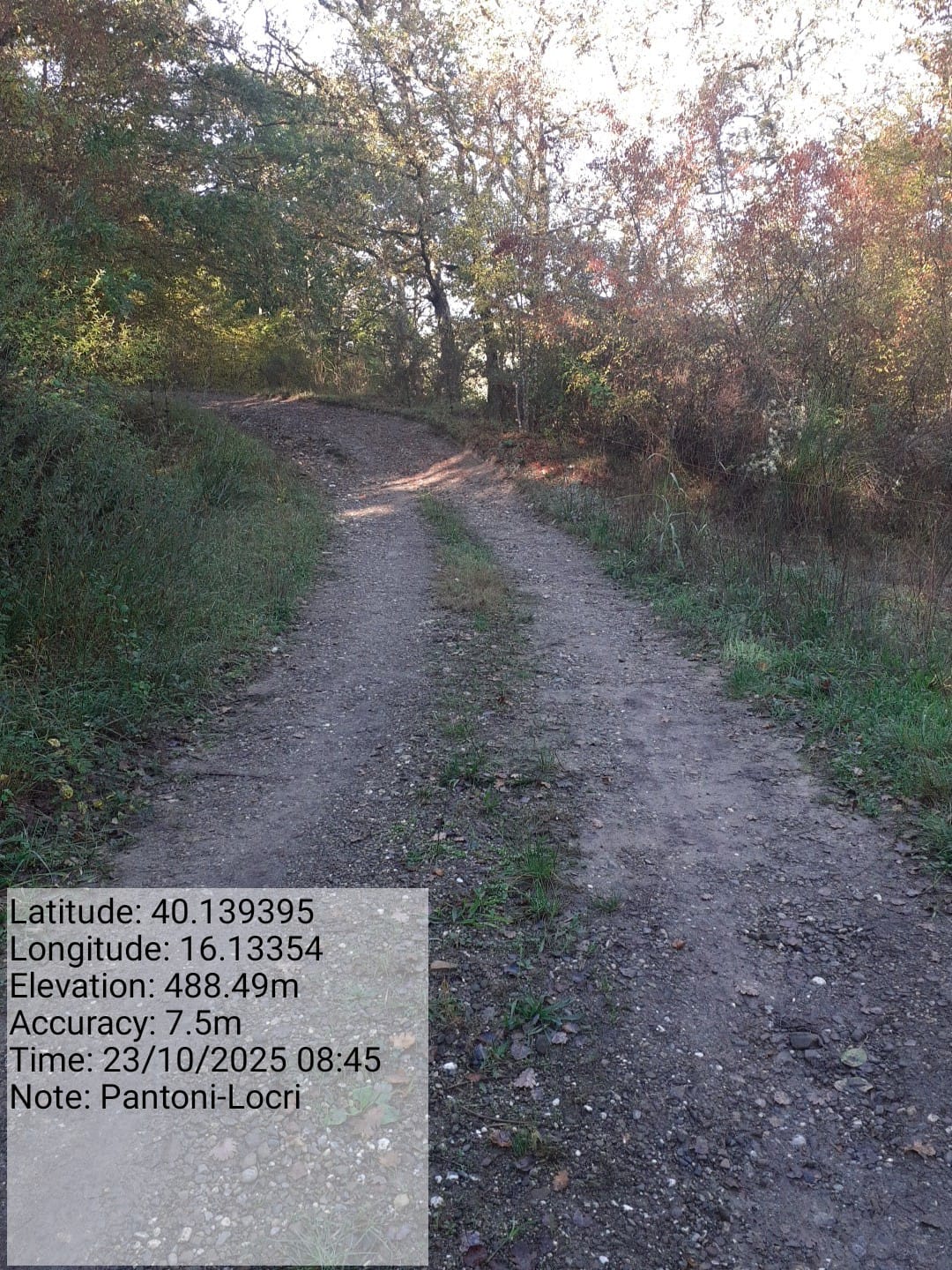 Galleria Fotografica Immagine