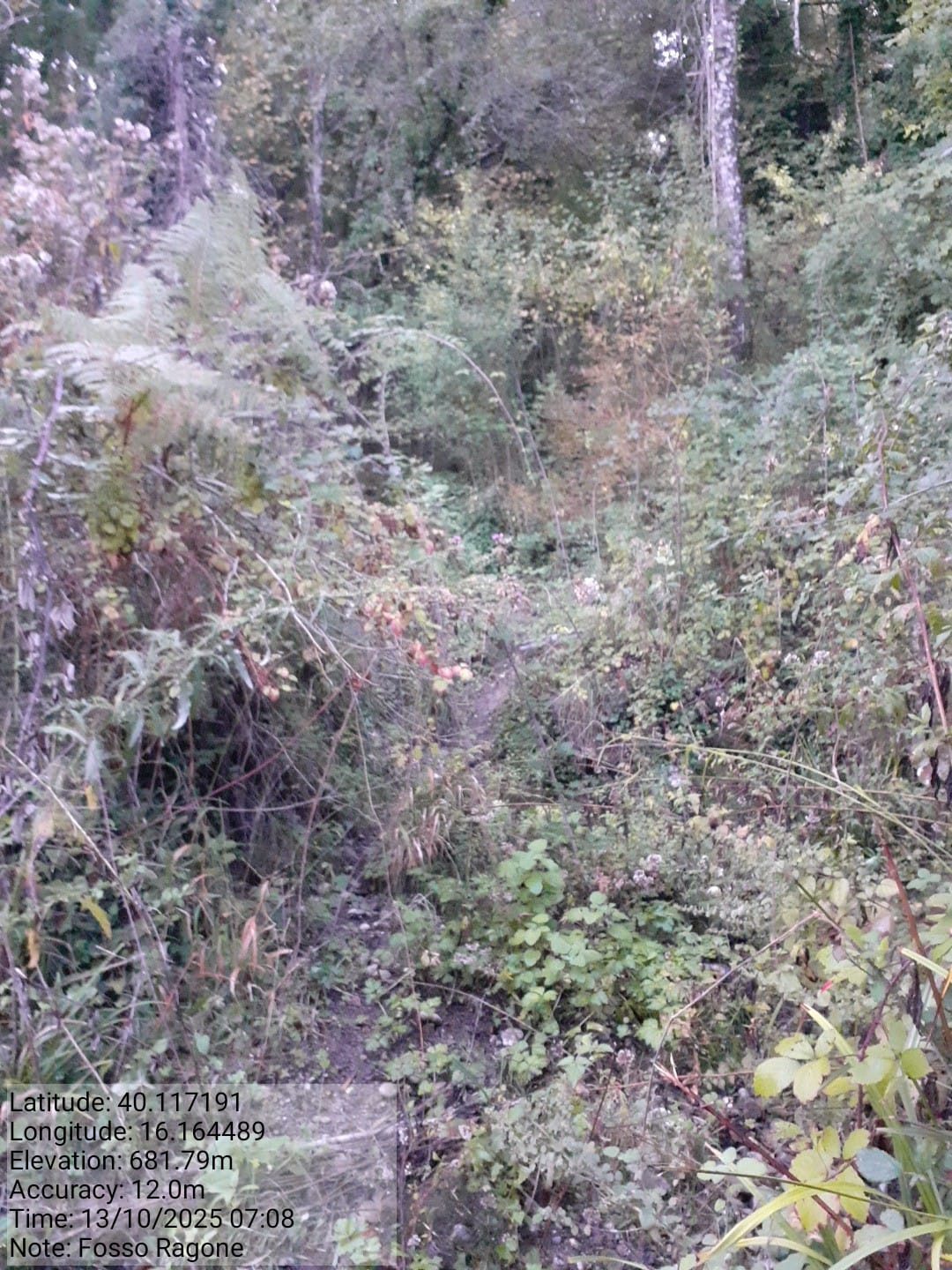 Galleria Fotografica Immagine