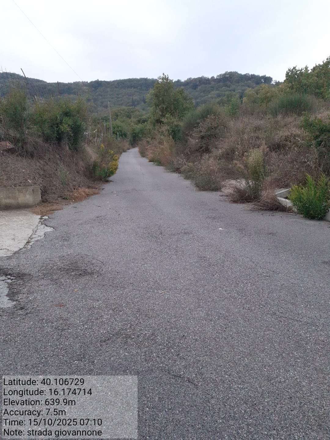 Galleria Fotografica Immagine