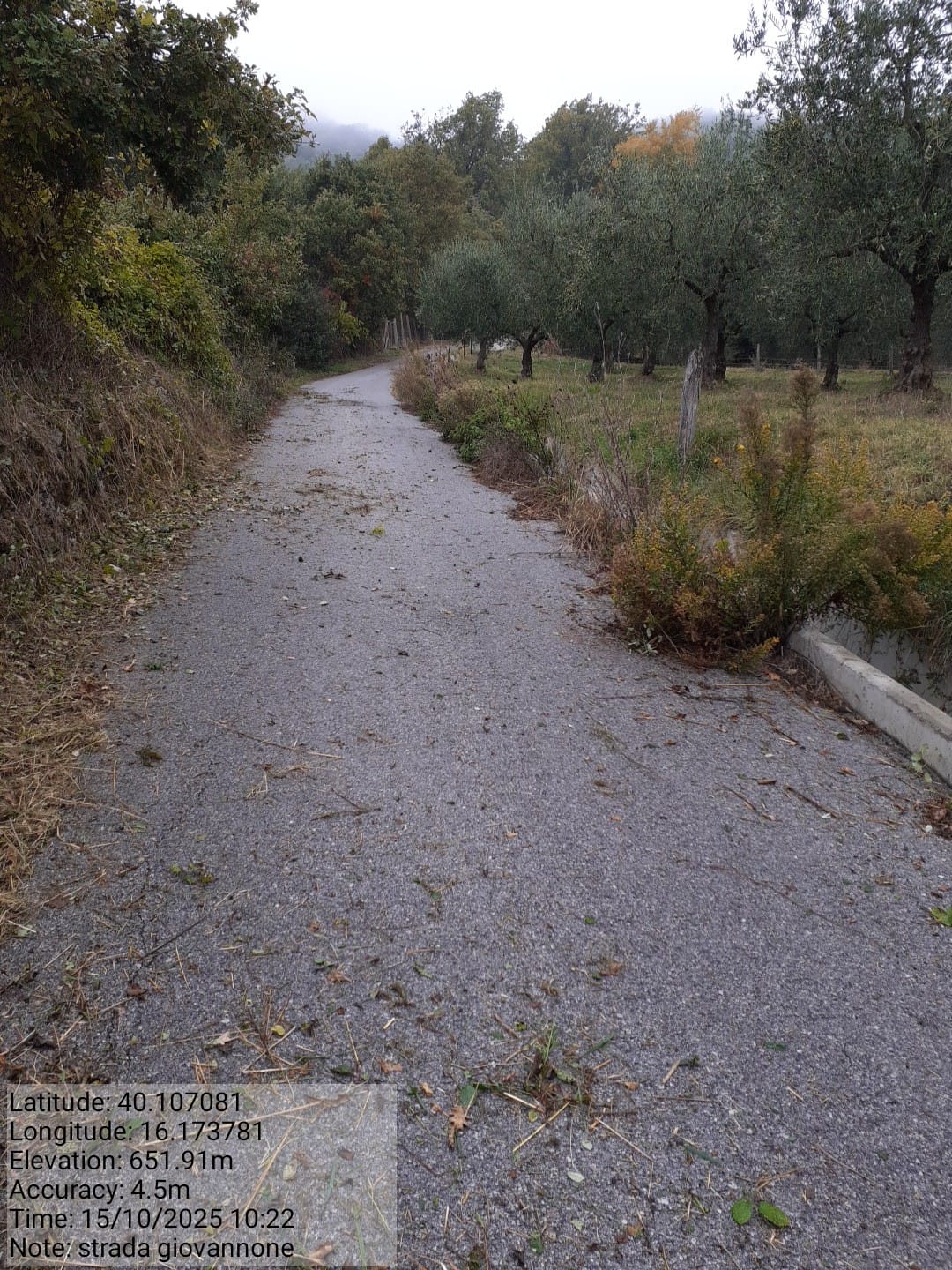 Galleria Fotografica Immagine