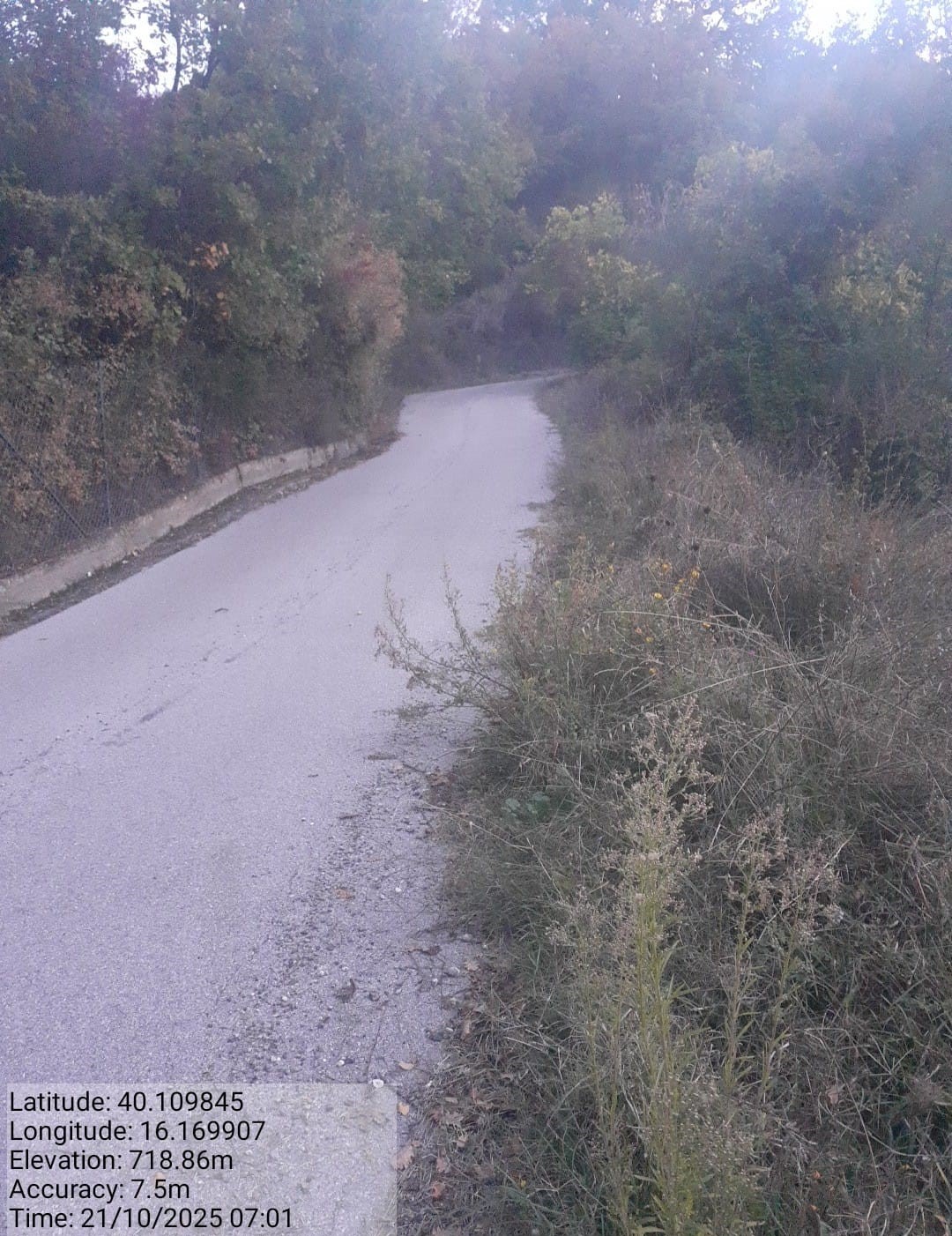 Galleria Fotografica Immagine