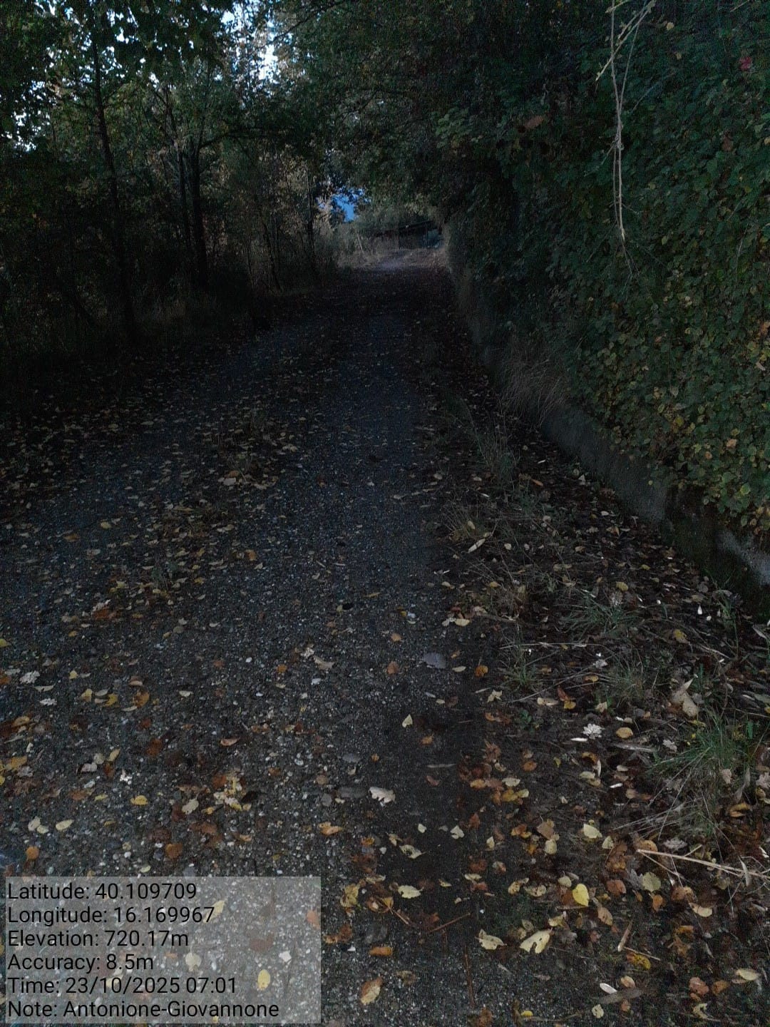 Galleria Fotografica Immagine