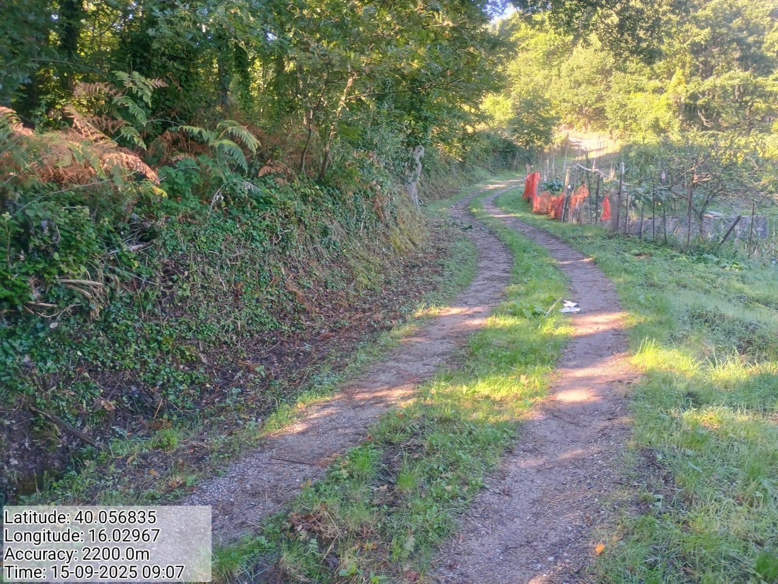 Galleria Fotografica Immagine