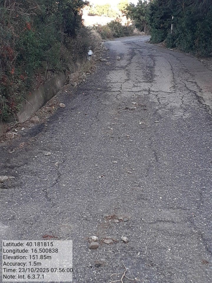 Galleria Fotografica Immagine